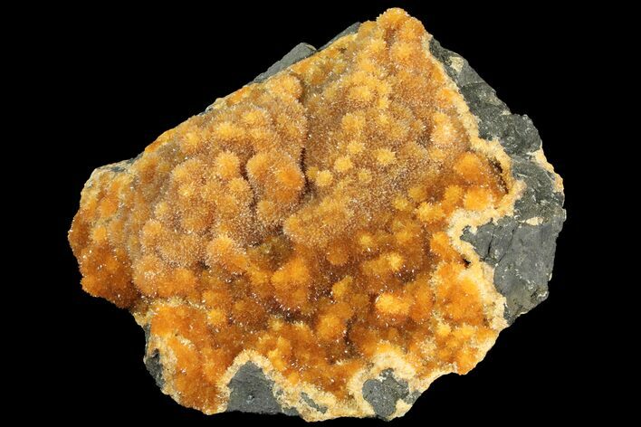 Intense Orange Calcite Crystal Cluster - Poland #94123